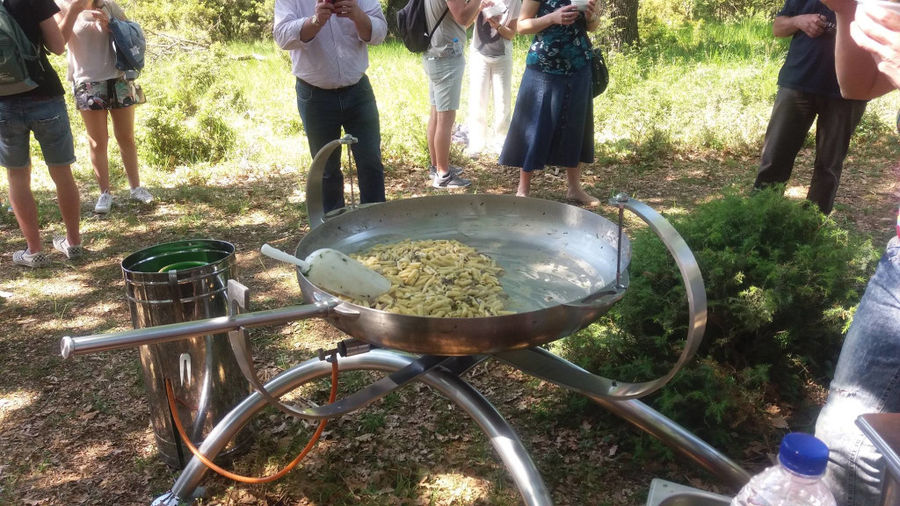 34 natural history museum meteora mushroom museum.jpg